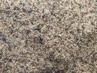 Elsbeths Allesw�rzer 100 g