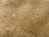 Hackfleisch Gew�rzzubereitung grob 100 g