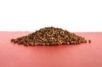 Koriander ganz 500 g