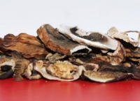Mischpilze / Waldpilzmischung getrocknet 50 g