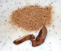 Steinpilzpulver 50 g