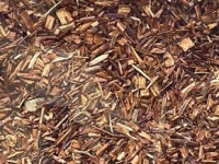 Rotbuschtee Mandel/Orange/Vanille 100 g