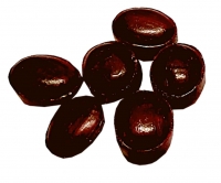 Holunder + Zink Bonbon zuckerfrei 200 g