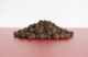 Pimentkrner 50 g