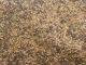 Schweinskrossi Gewrzsalz 100 g