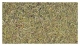 Rosmarin geschnitten 50 g