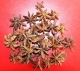 Sternanis 50 g
