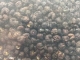 Szechuan Pfeffer ganz 50 g