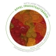 Fruchtgummi Apfel Fruchtsaftbren 150g