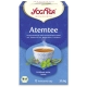 Yogi Tee Bio Atem Tee 17 er